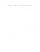 Estrategia de Avianca para la Recuperación y Crecimiento en el Sector Aéreo