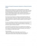 Problema principal de contaminación ambiental en el Mercado Central de Chepén