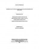 Taller aplicación de modelos de inventarios