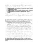 Celulas vegetales
