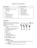 Hemorragia de la II mitad del embarazo