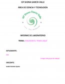 Formato de informe de laboratorio