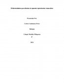 Enfermedades que afectan el aparato reproductor masculino