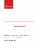 Creación de una empresa sostenible. Sostenibilidad en los negocios