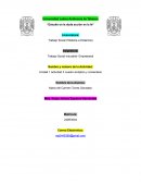 Proceso administrativo y sus componentes