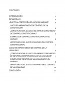 Protección de juico de amparo