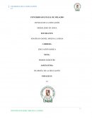 La incidencia del Covid en la educación ecuatoriana