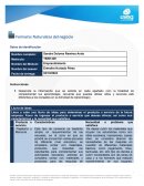 Formato: Naturaleza del negocio