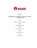 Regulación y monopolio naturales en el sector eléctrico en Perú