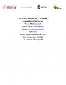 Presupuesto Vivero “Melinera meli”