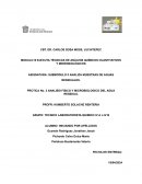 Práctica No. 3 Análisis físico y microbiológico del agua residual