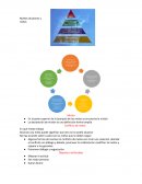 Apuntes administración. Niveles de planes y metas