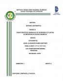 Ensayo botanica. Plantas de importancia socioeconómica