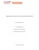 Frioram S.L.: Implantación en nuevos negocios internacionales