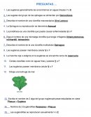 Preguntas de Botánica Acuática