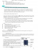 Biología. La teoría celular. Estructura general de una célula procariota.