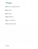 Análisis microeconómico aplicado a la toma de decisiones en la empresa CEMEX, S.A.B. DE C.V