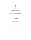 Administracion del riesgo cambiario