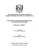 Introducción a las Normas Internacionales de Información Financiera (NIIF)