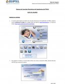 Guía de usuario. Sistema de consultas electrónicas de expedientes del TRASU