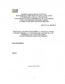 Violencia contra la mujer dirigida a la comunidad del sector “El Cuji”