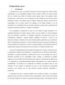 Producción de cuyes