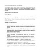 Criminalística y su relación con otras disciplinas