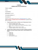 Bombas para pulpas minerales