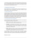 Tokamak. Introducción a la fusión nuclear