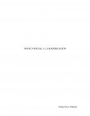 Apoyo oficial a la exportación