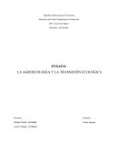 Agroecología y transición ecológica