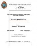 Proyecto de inmersión diagnostica (Conociendo el contexto de la enseñanza indígena)