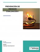 Trabajo 1 Prevención de riesgos