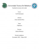 Ensayo Caso Filanbanco