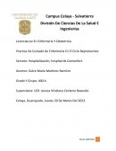 Práctica de cuidado de enfermería en el cIclo reproductivo