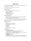 Resumen Guias practica clinica.Tumor pélvico