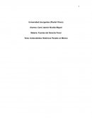 Antecedentes históricos penales en México