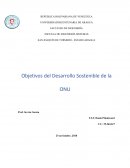 Objetivos del Desarrollo Sostenible de la ONU