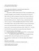 Solicitud de acceso a la carpeta de investigación