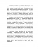 Areas de Acción de el Fisioterapeuta