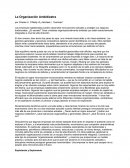 La organización ambidiestra. Explotando y Explorando