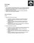 PinoFregón. Factibilidad del Proyecto. Estudio de mercado para limpiador multiusos