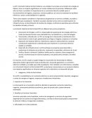 Comisión Federal de Electricidad (CFE) en México