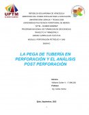 Programa nacional de formacion en geociencias. Perforación petróleo y gas