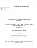 Fideicomiso irrevocable traslativo de dominio