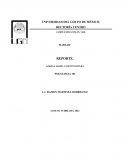 Hablar- Desarrollo Humano