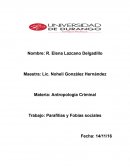 Parafilias y fobias sociales