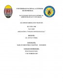 Ensayo: marco legal de las empresas