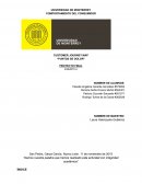 Customer Journey Map “Puntos de dolor”