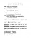 Sistemas de protección social. Impacto de la Crisis Económica en la Seguridad Social